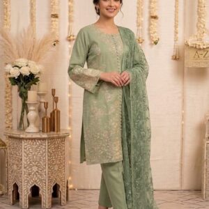 3 piece Embroidered Winter Cotton-3